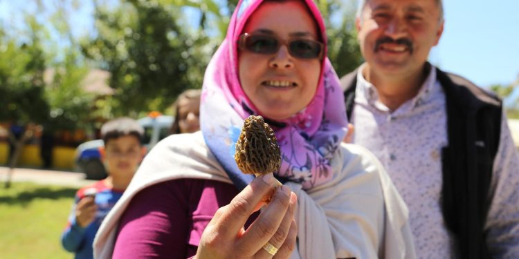 Altını solladı… Kurusu bin TL’den alıcı buluyor