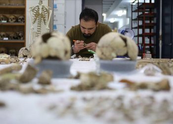 Anadolu’nun gizli ‘DNA’ hazinesini bulacak ilk laboratuvar