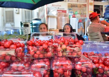 Antalya’da erkenci kirazın hasadı başladı