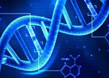 İnsan DNA’sının müziği notalara döküldü