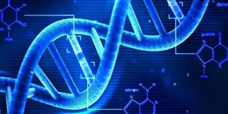 İnsan DNA’sının müziği notalara döküldü