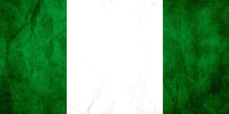 Nijerya’da Boko Haram’ın rehin aldığı 54 kişi kurtarıldı