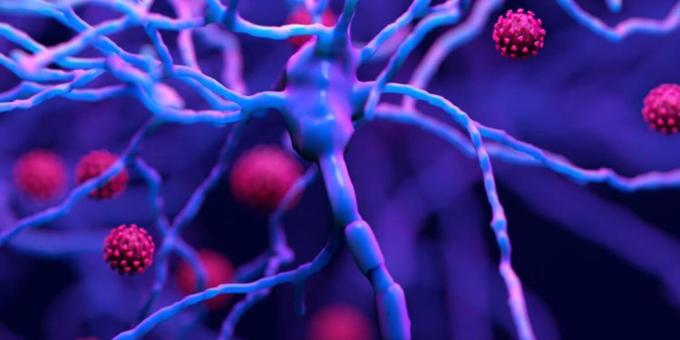 Tanzanya’da Marburg virüsünden 5 kişi öldü