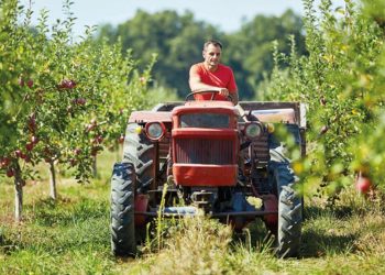 Tarımsal girdi fiyat endeksi ocakta arttı