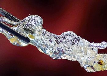 Türk doktorun başarısı: 3D yazıcıyla şeffaf organ