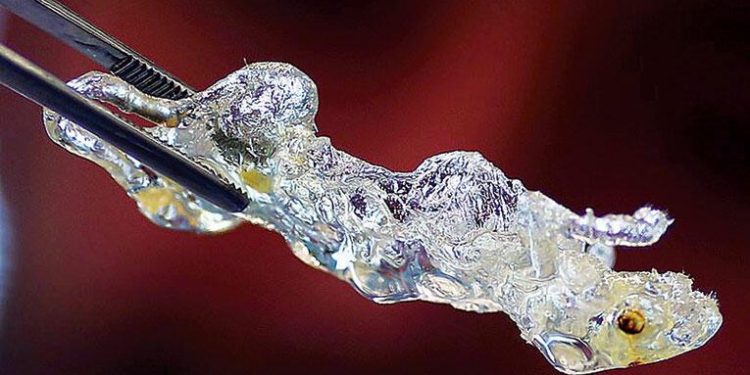 Türk doktorun başarısı: 3D yazıcıyla şeffaf organ