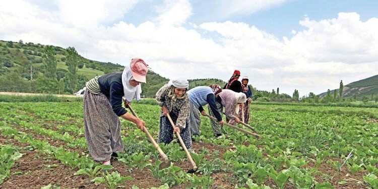 Üreticiye 62.3 milyar TL’lik destek