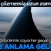 Denizlerdeki köpekbalığı türlerinin sayısı hızla artıyor… Bu ne anlama geliyor? ‘Bu gizemi çözmemiz uzun zaman aldı’