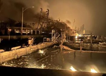 Havai’deki orman yangınları şiddetleniyor: 36 kişi hayatını kaybetti