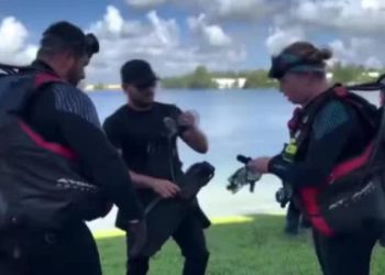 Kayıp vakaları araştıran dalgıçlar göl dibinde 32 araç buldu